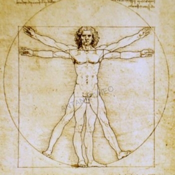 Figurine Da Vinci L'Homme de Vitruve  Blanc