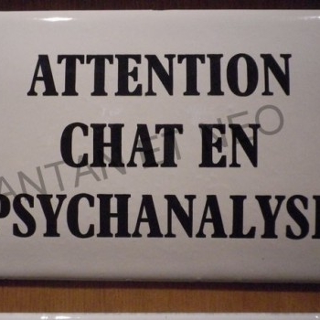 Plaque Email Attention Chat En Psychanalyse Antan Et Neo Brive La Gaillarde